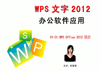 WPS文字2012视频教程—办公软件应用
